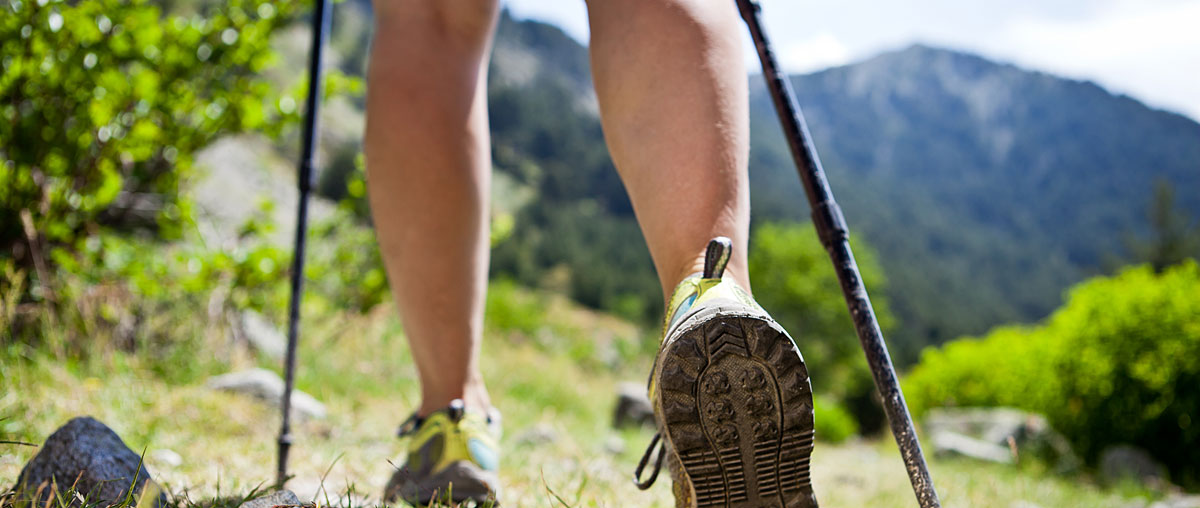 Wanderhotels Bayerischer Wald